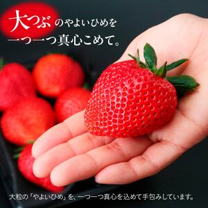 特大いちご 極上のいちご大福 4個｜ いちご イチゴ いちご いちご いちご いちご大福