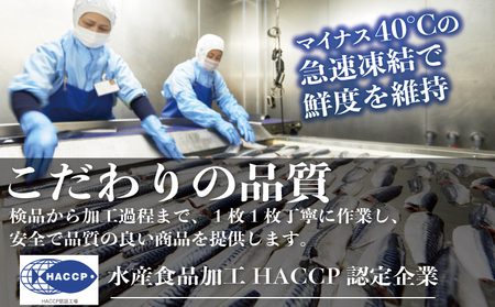 訳あり 腹骨取り 塩サバ 真空パック 8枚 サバ
