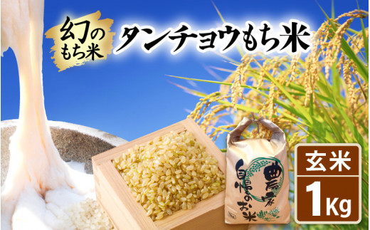 【先行予約】令和8年産 新米 お試し 幻のもち米 タンチョウ もち米 1kg（玄米）【2026年10月中旬以降順次発送】【お米 米 こめ コメ kome 福井県産 モチ たんちょう おこわ 餅 おもち 常温 年末 赤飯 餅つき 】 [e35-a058]