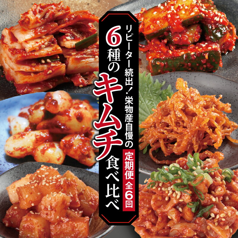 【ふるさと納税】キムチ 食べ比べ 6種類 定期便 6回 白菜 特製チャンジャ 大根キムチ らっきょキムチ するめキムチ きゅうりキムチ 手作り おつまみ おかず 毎日食材 新鮮 濃厚 辛味 漬物 発酵食品 韓国 お取り寄せ グルメ 大阪府 泉佐野市 送料無料