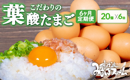 【定期便】葉酸たまご20個 (割れ保証2個含む) 6回 定期便 定期 京都 こだわり卵 ( 卵 たまご 濃い こだわり 玉子 セット 玉子焼き 卵焼き 卵かけご飯 ゆで卵 鶏卵 卵黄 葉酸 栄養 贈答 お歳暮 お中元 ギフト ビタミン アミノ酸 たんぱく質 34000円 まとめ買い 京都 京丹波町 みずほファーム)