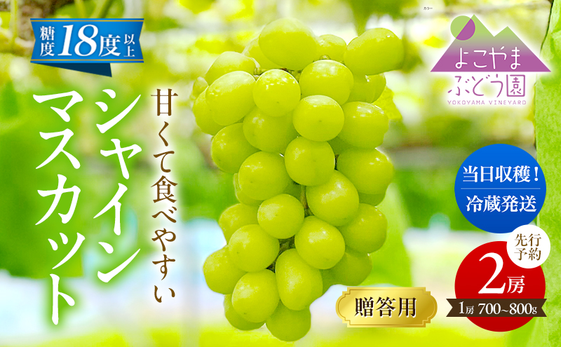 先行予約 [贈答用/熨斗なし化粧箱] 甘く食べやすい シャインマスカット 2房（1房 700～800g）＜出荷時期：2025年9月下旬～10月上旬ごろ＞数量限定 期間限定 果物 フルーツ ぶどう ブドウ マスカット ギフト