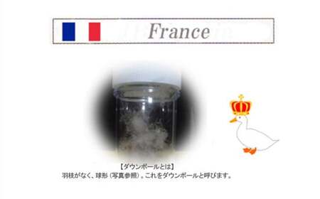 羽毛布団 キングサイズ （B-15） フランス産 ホワイトダウン 90％ 抗菌 防臭