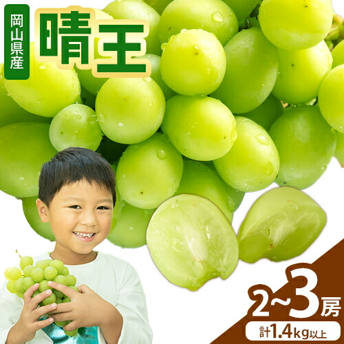 【2026年先行予約】シャインマスカット【晴王】 岡山県産 2～3房(計1.4kg以上) 株式会社Myself《2026年9月上旬-10月下旬頃出荷》マスカット 送料無料 岡山県 浅口市 ぶどう フルーツ 果物 贈り物 ギフト