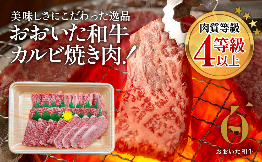 おおいた和牛 焼肉300g 和牛 豊後牛 国産牛 赤身肉 焼き肉 大分県産 九州産 津久見市 国産【tsu002302】