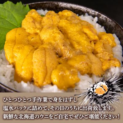 ふるさと納税 豊浦町 ※先行受付 うに 塩水ムラサキウニ 80g 北海道豊浦 噴火湾【配送不可地域:離島】 TYUR020 |  | 03