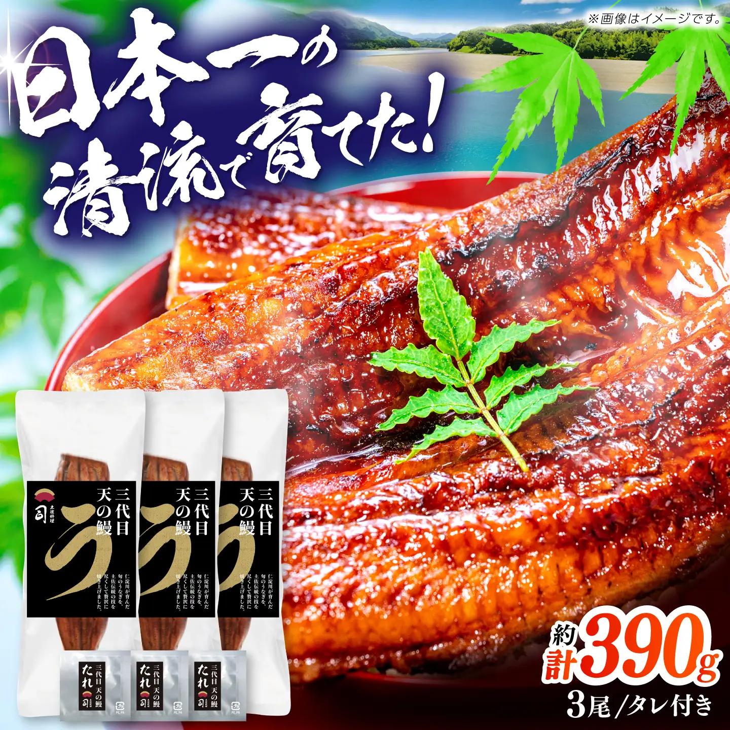 土佐料理司 三代目天の鰻蒲焼3尾セット (高知市春野町産) / 鰻 うなぎ ウナギ 蒲焼 うな重 国産 高知市 【株式会社土佐料理司】[ATAD089]
