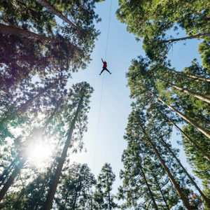 フォレストアドベンチャー祖谷 2名 アドベンチャーコース 利用券 ジップライン アクティビティ 徳島県 三好市 みよし 体験 観光 旅行 チケット 夏休み 自然 アスレチック 子供 家族連れ 体験チケ
