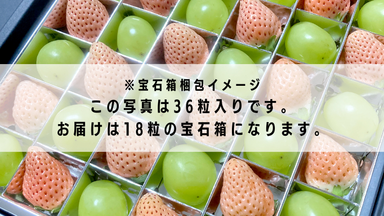 【 お歳暮 熨斗付 】 シャインマスカットと白いちごの 宝石箱 18粒【12月から発送開始】（茨城県共通返礼品 [ぶどう]：結城市　[いちご]：城里町産）いちご 苺 イチゴ 白いちご 白イチゴ シャインマスカット マスカット 宝石箱 [BI376-NT]