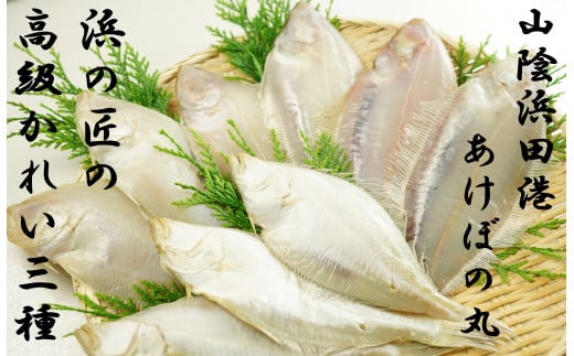 あけぼの丸と浜の匠が贈る高級かれい3種一夜干しセット 魚介類 魚 干物 干もの 一夜干し カレイ 御中元 御歳暮 ギフト 贈り物 セット 個包装 【146_1056】