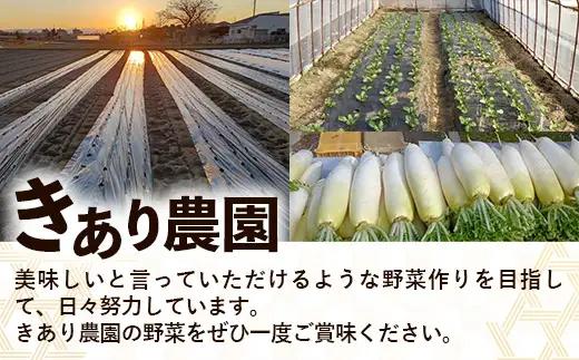 【きあり農園】2026年度 幸手市産 枝豆 1kg - 朝採り えだ豆 エダマメ えだまめ 産地直送