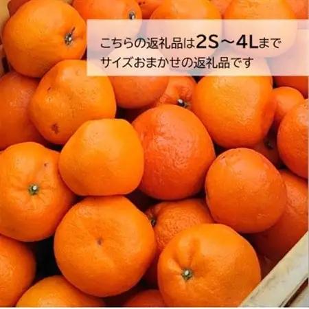 訳あり・ご家庭用　早生みかん　約5kg(農家お助け2S～4L規格)【2026年12月中旬～順次発送】【配送不可地域：離島・北海道・沖縄県】【1491580】