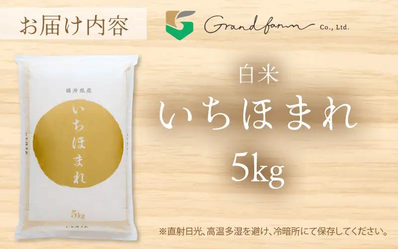 【先行予約】令和8年産 新米 いちほまれ 白米 5kg 【2026年12月以降発送】 白米 5キロ [m46-a005_12]