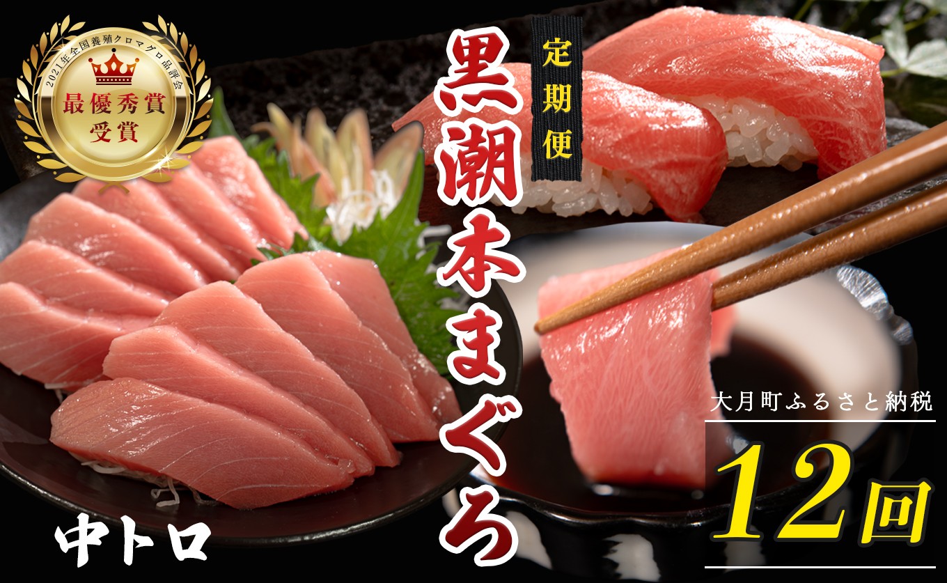 
                  訳あり 不定貫 定期便 12回 国産 養殖本マグロ 中トロ 毎回120g×12回 黒潮本まぐろ 全国養殖クロマグロ品評会 最優秀賞受賞 12ヶ月 12か月 一年 柵 刺身用 本マグロ クロマグロ 本鮪 まぐろ 鮪 お刺身 さしみ トロ 海鮮丼 漬け丼 手巻き寿司 鉄火丼 まぐろ丼 小分け 個包装 真空パック 冷凍 不揃い 家庭用 海鮮 年末年始 高知県 大月町 9万円
                