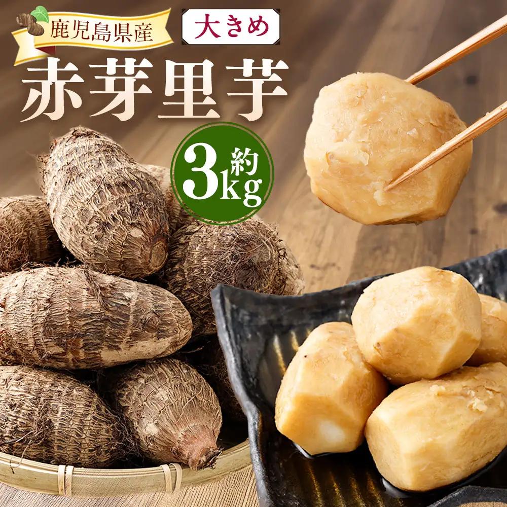 大きめ 赤芽里芋 約3kg 鹿児島県産 ねっとり濃厚 上品な旨味 【2027年1月中旬～3月中旬発送予定】 さといも 赤芽 里芋 ZS-6139