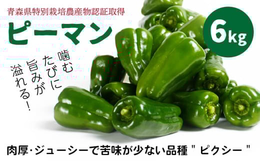 【青森県特別栽培】ピーマン 6kg ピクシー 【8月上旬～10月前半発送】