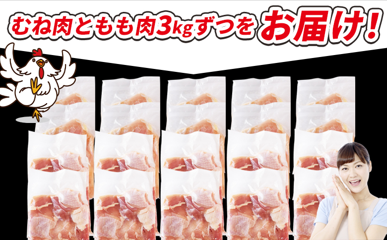 ＜宮崎県産若鶏切身 6kg（むね肉 300g×10袋 もも肉 300g×10袋）＞ 3か月以内に順次出荷 【 セット 詰め合わせ からあげ 唐揚げ カレー シチュー BBQ 煮物 チキン南蛮 小分け 