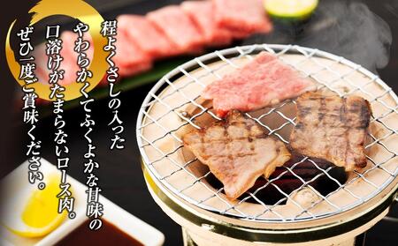 【AB913】長崎和牛 ロース焼肉用 約500g＜スーパーウエスト＞