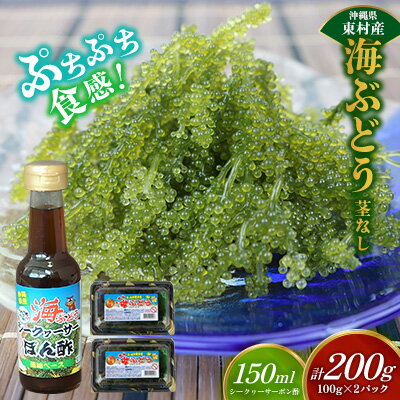 【ふるさと納税】美ら海 沖縄県産 海ぶどうセット／茎なし200g（100g×2パック）ポン酢付 海ブドウ 海ぶどう うみぶどう パック 茎なし クビレズタ たれ付き 海鮮 海藻 プチプチ おつまみ 沖縄料理 ご当地 特産品 グルメ 人気 居酒屋 常温 沖縄県 東村