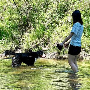 【 自然 の 中で BBQ らくらく パック 】 利用券 2名様 ｜ PGFLAND 千葉県 君津市 千葉 君津 きみつ