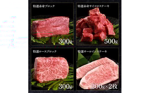 土佐あか牛協会が認定する「土佐熟成あかうし」8種（合計3.3kg）サイコロステーキ ロース カルビ スネ ヒレ サーロイン ブロック肉 特選 赤身 牛 牛肉 和牛 国産 天下味 エイジング工法 熟成肉