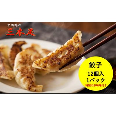 ふるさと納税 各務原市 中国料理「三本足」　中華3点セット　餃子　麻婆なす　回鍋肉【1244】 |  | 01