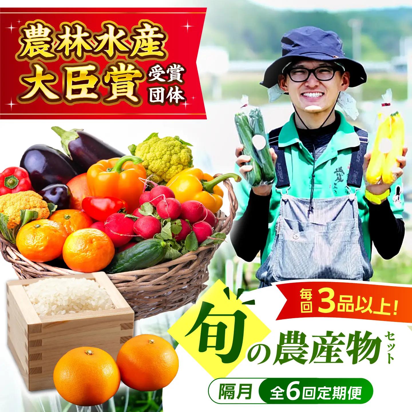 野菜【全6回定期便】【隔月】旬の農産物 野菜[AGBL001]