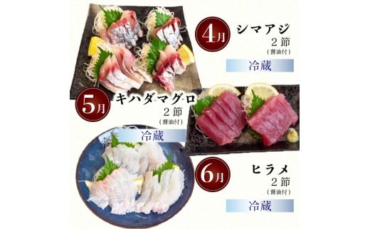 12ヶ月 定期便 刺身 鮮魚 12回 定期便 新鮮 国産 （ 伊勢海老 ブリ かつお たたき キハダ マグロ タイ シマアジ ヒラメ 貝 セット） イセエビ 鯵 長太郎 サザエ  鰹 鯛 鮪 セット 