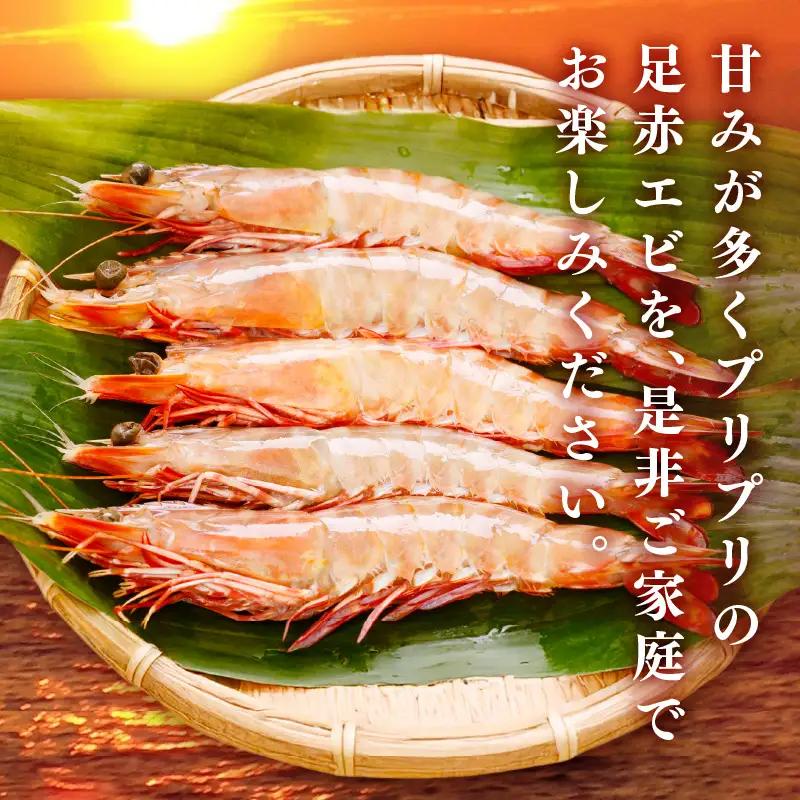 大阪府泉南市産 天然足赤エビ 600g【058D-007】