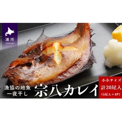 ふるさと納税 浦河町 漁協の地魚一夜干し 宗八カレイ 小小サイズ(20尾入)[02-1248]
