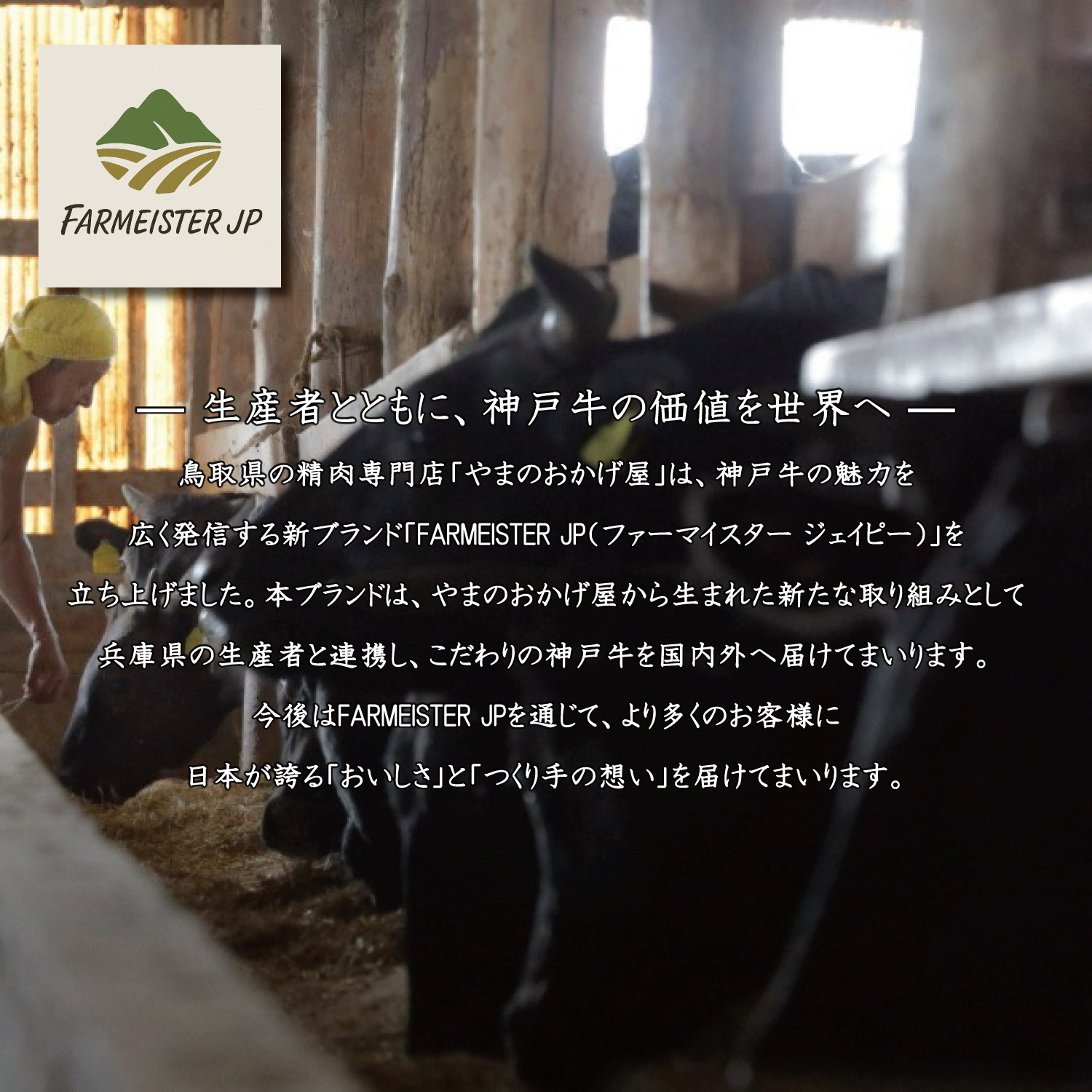 【うすなが牧場】神戸牛 純但馬うすなが牛 リブローススライス500gFU1