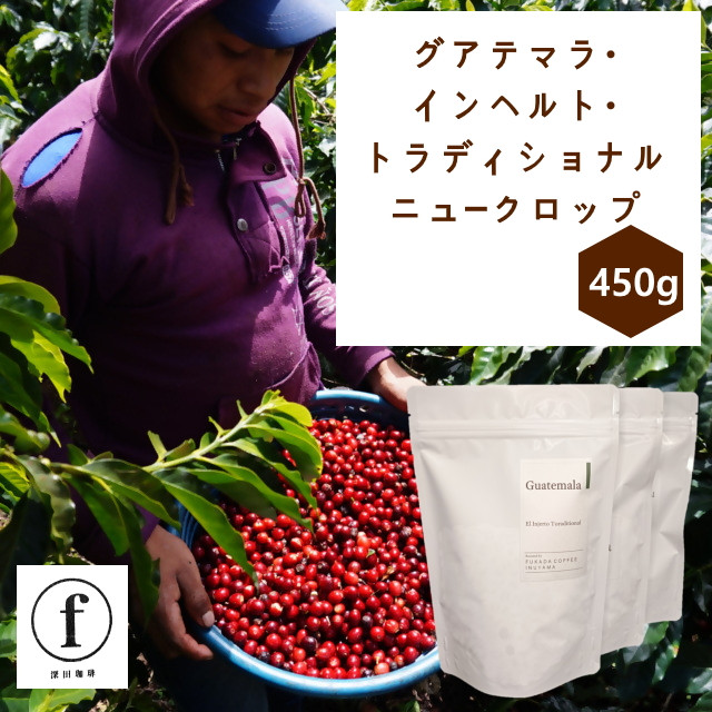 
                  24-15_グアテマラ・インヘルト・トラディショナル150g×3袋(計450g)ニュークロップ｜ コーヒー 珈琲 コーヒー豆 珈琲豆 自家焙煎 飲料 インヘルト農園 トラディショナル 450g 深田珈琲 グアテマラ Toraditional El Injerto
                