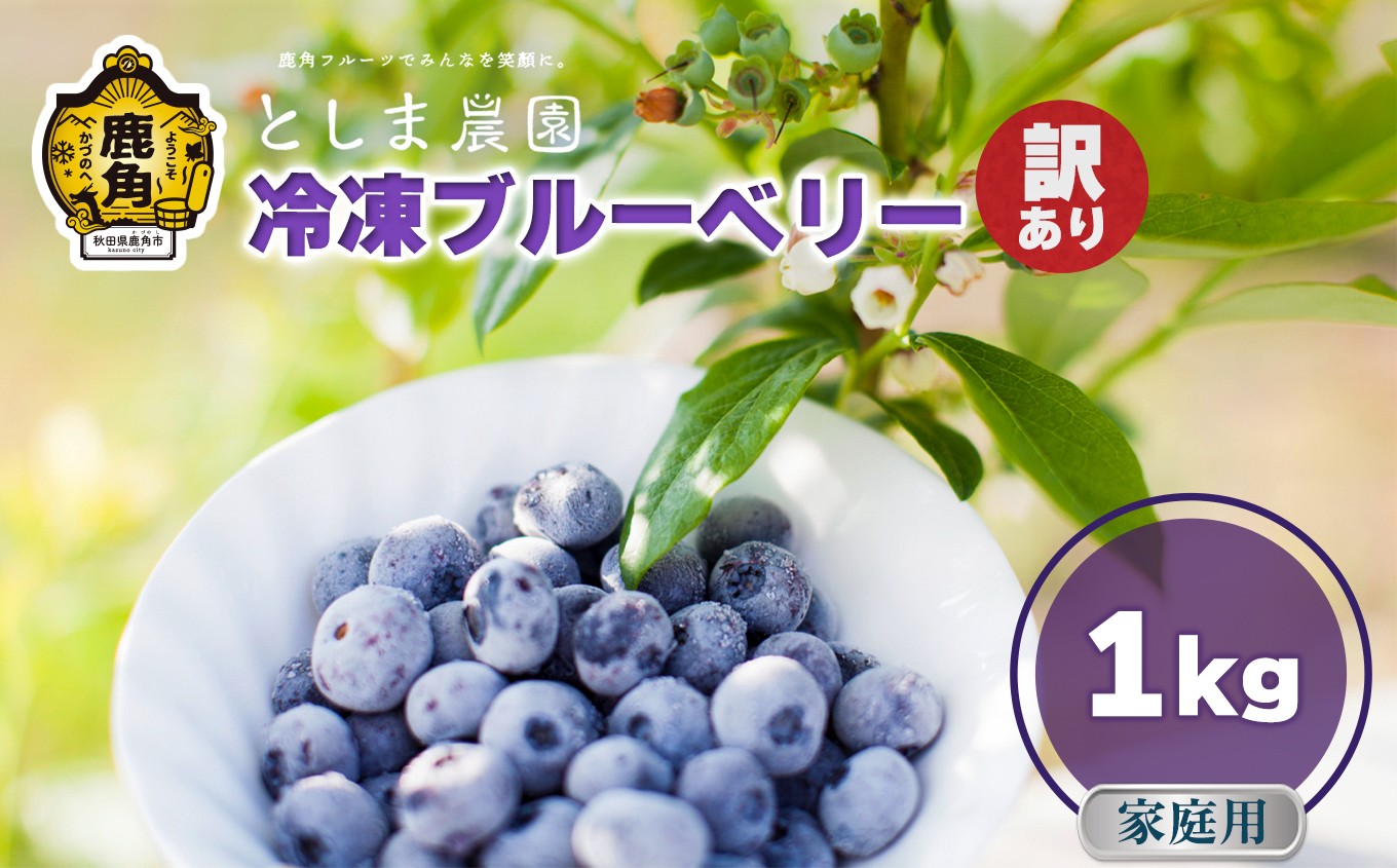 
                  令和7年産【訳あり】秋田県鹿角産 冷凍ブルーベリー 家庭用 1kg（サイズMIX）【としま農園】旬 県産 ブルーベリー 国産ブルーベリー 小分け お中元 お歳暮 お取り寄せ 母の日 父の日 グルメ ギフト 故郷 秋田 あきた 鹿角市 鹿角 送料無料 
                