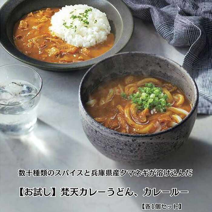【ふるさと納税】【お試しセット】梵天カレーうどん＆カレールーセット No.388 KWNAO001 ／ お試し カレーうどん カレールー カレー うどん 名物カレーうどん セット スパイス 自家製麺 地元産野菜 送料無料 兵庫県 川西市