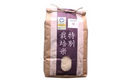 定期便 3ヵ月 コシヒカリ「極」5kg×3ヶ月 特別栽培米 こしひかり こしひかり定期便 お米の定期便 計15kg (コシヒカリ5kg×3個)  白米3か月 新潟県産 特別栽培米 特栽米 精米 お米 