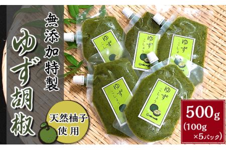 天然柚子使用・無添加特製ゆず胡椒500g（100g×5パック）【柚子胡椒 ゆず胡椒  柚子 ゆず 無添加 調味料 特製 焼き鳥 鍋 鍋料理 おでん おすすめ】