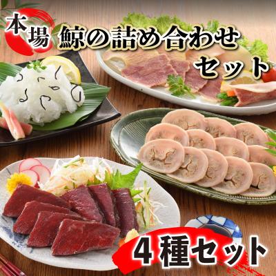 ふるさと納税 下関市 下関鯨屋 日新丸 鯨の詰合せ 4種 赤身肉、おばいけ、ベーコン、百尋スライス 下関 山口 FG038