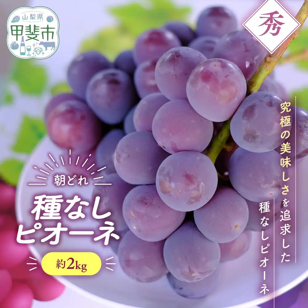 種なし ピオーネ 約2㎏ 山梨県産ぶどう ぶどう