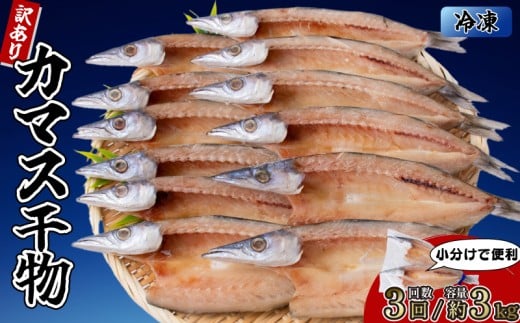カマスの干物 15袋（約30尾）【3回分】