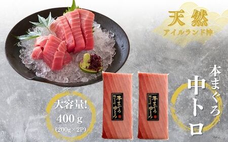 【みんなの心彩る】 天然 本まぐろ 1.2kg（ 大トロ 400g、 中トロ 赤身 400g） M020-025-02 冷凍 マグロ 【 まぐろ専門の卸問屋です 】