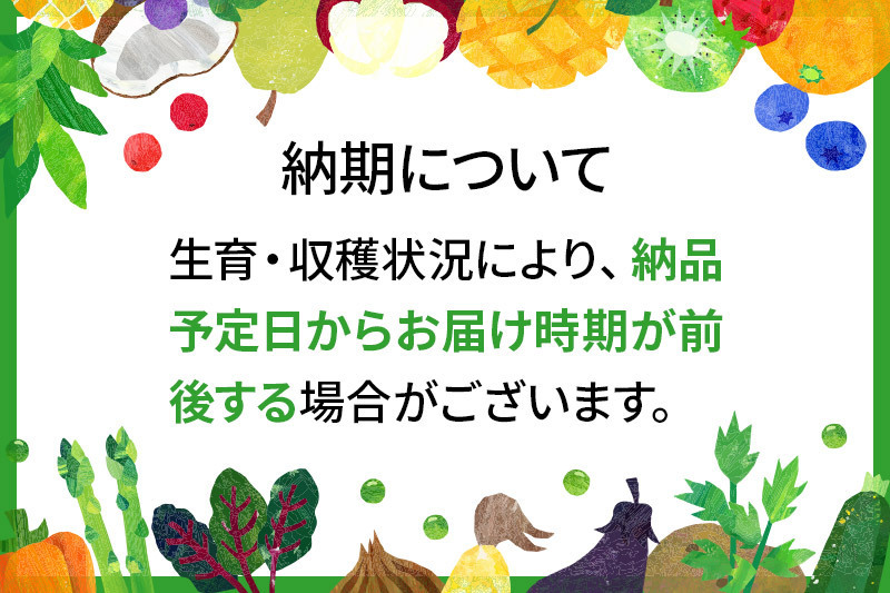 濃甘な完熟葡萄 横手市大沢地区産 ぶどう スチューベン 約2kg×2ケース
