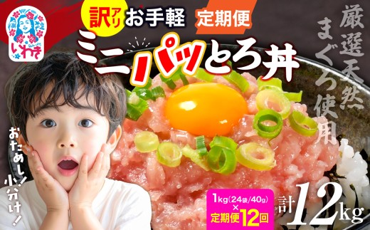 【定期便12回】訳アリ 福島製造 ねぎとろ使い切りパック 約1kg（約40g×24パック）｜定期便 まぐろ まぐろたたき ねぎとろ マグロ パーティー 使い切りパック 海鮮丼 軍艦巻き お寿司 いわき市 福島県 ネギトロ | DK011-1kg-t12