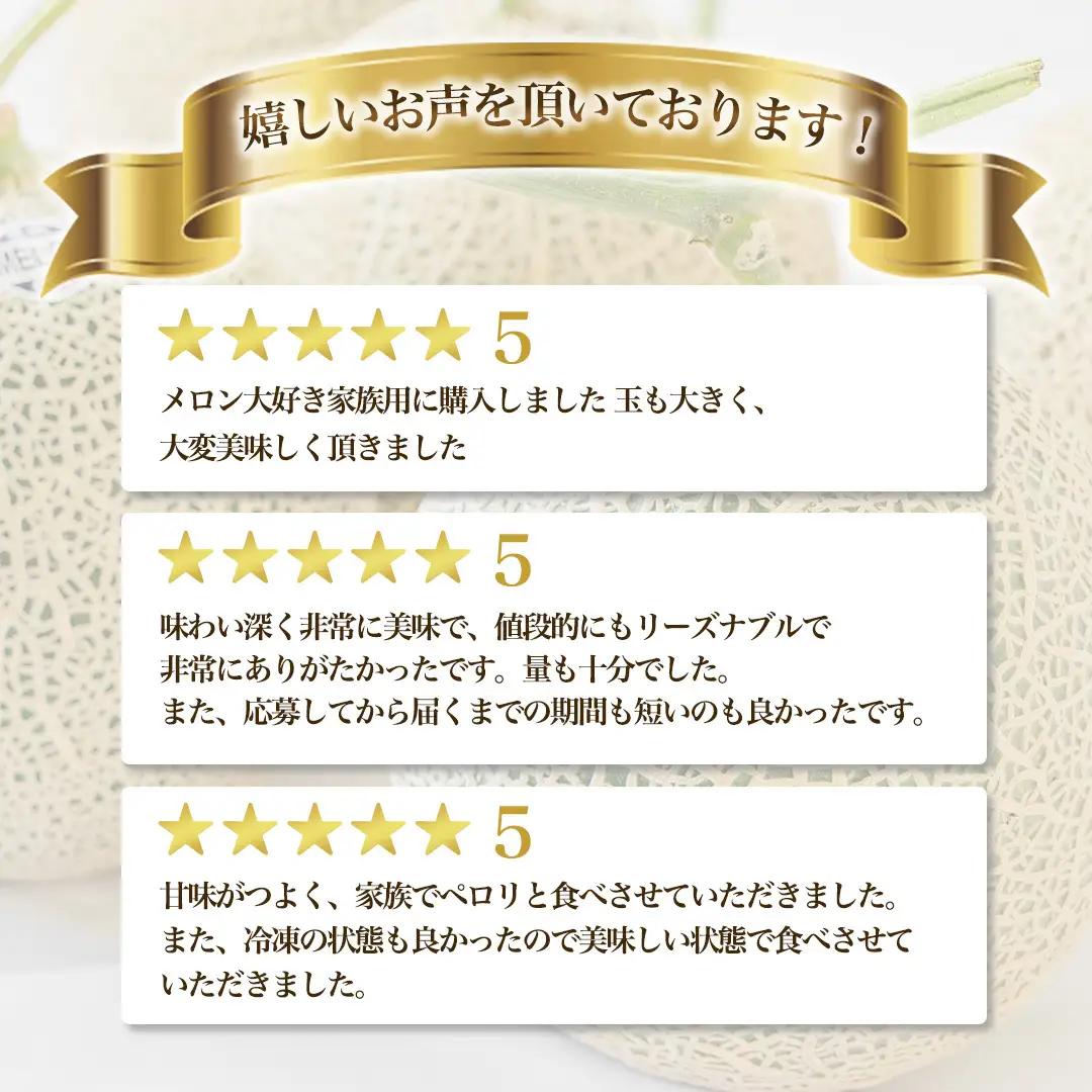 【2026年8月下旬発送開始】 季節 限定 ！ 甘さ満点 アールスメロン 3玉 入箱 果物 フルーツ 農家直送 産直 青肉メロン 特産品 マスクメロン メロン くだもの 茨城 [BC044sa]