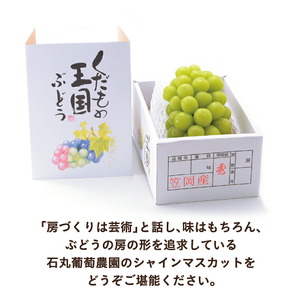 【先行予約】 シャインマスカット マスカット １房《2026年9月上旬-9月下旬頃出荷》 岡山県産 数量限定 岡山県 笠岡市 石丸葡萄農園 シャイン マスカット ぶどう 葡萄 果物 フルーツ