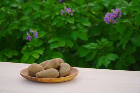 【二年熟成】 氷室熟成あつまいも（メークイン）4.5kg×1箱 《厚真町》 【株式会社伝平さんの畑】 じゃがいも じゃがいも じゃがいも じゃがいも じゃがいも   [AXAD001]