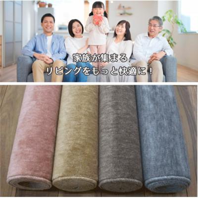 ふるさと納税 和泉市 【江戸間8畳】やわらかな肌ざわりのオールシーズン防炎カーペット グレー(グロッソ8畳GY) |  | 02