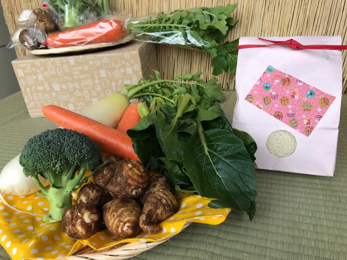 【ふるさと納税】【12回定期】【栽培期間農薬不使用】お米と野菜セット12ヶ月定期便 【おいしい ごはん やさい セット グルメ 無農薬】（KBE-21）