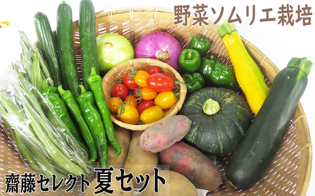 
            【2025年7月～発送　予約受付】野菜ソムリエ齋藤セレクト「新」夏セット
          