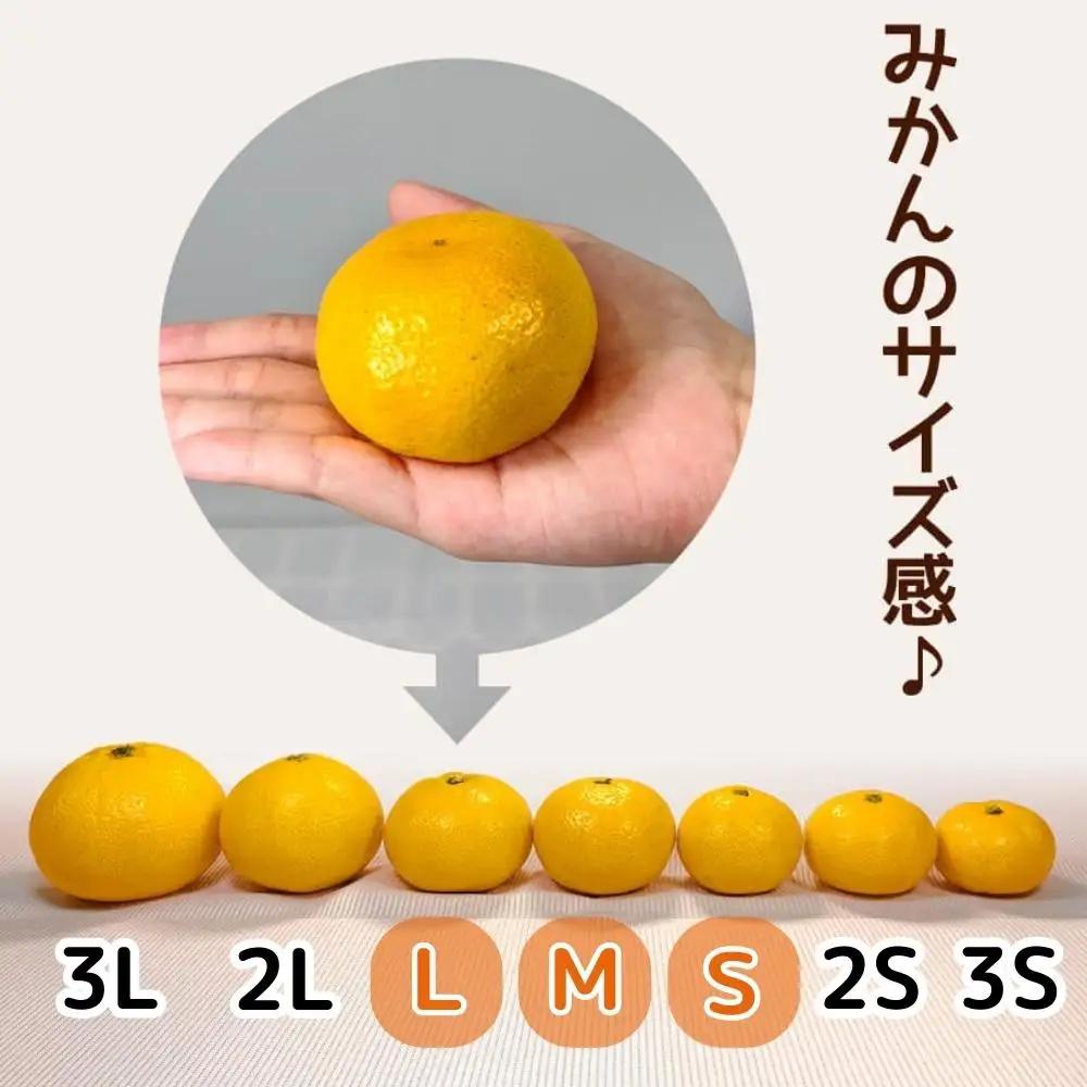 ゆら早生 みかん 箱込5kg(内容量 4.4kg) SMLサイズのいずれか 秀品 優品 混合 有田みかん 和歌山県産 【みかんの会】［2026年10月下旬頃より順次発送予定］