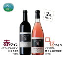 【ふるさと納税】 ワイン 赤ワイン ロゼ 笹一酒造 OLIFANT マスカットベリーA 750ml 2本セット ミディアムボディ やや辛口 酒 お酒 アルコール 国産ワイン 飲み比べ 食前酒 食中酒 ぶどう プレゼント お祝い 記念日 ギフト 父の日 母の日 パーティー 送料無料 山梨県 西桂町